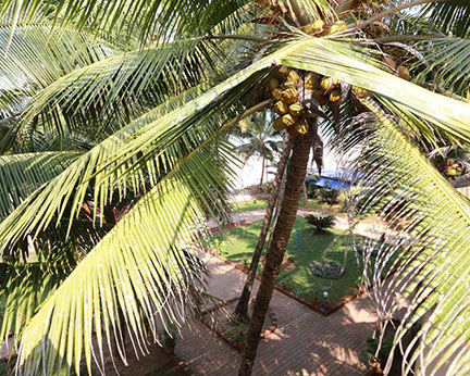 Gokarna International Beach Resort-Gallery-4